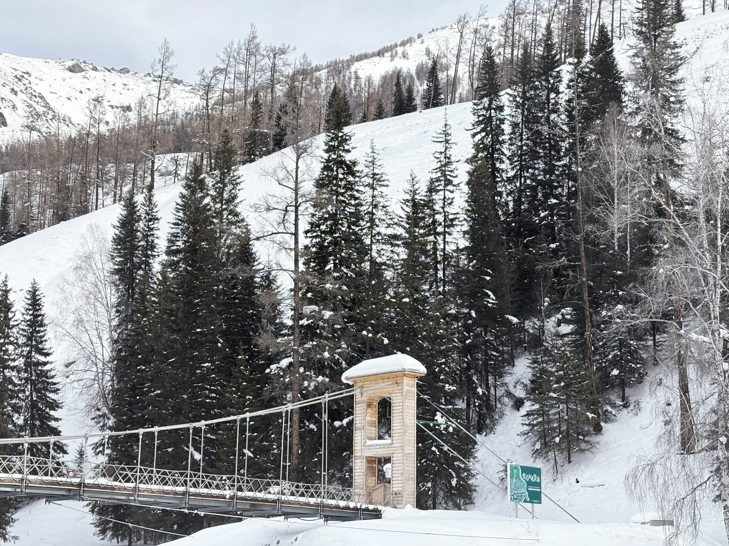 Altay mountains and forest